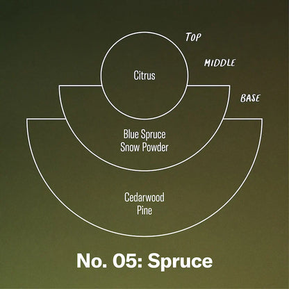 7.2oz Spruce Limited Candle