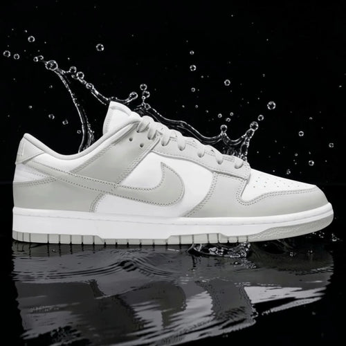 NK DUNK LOW
