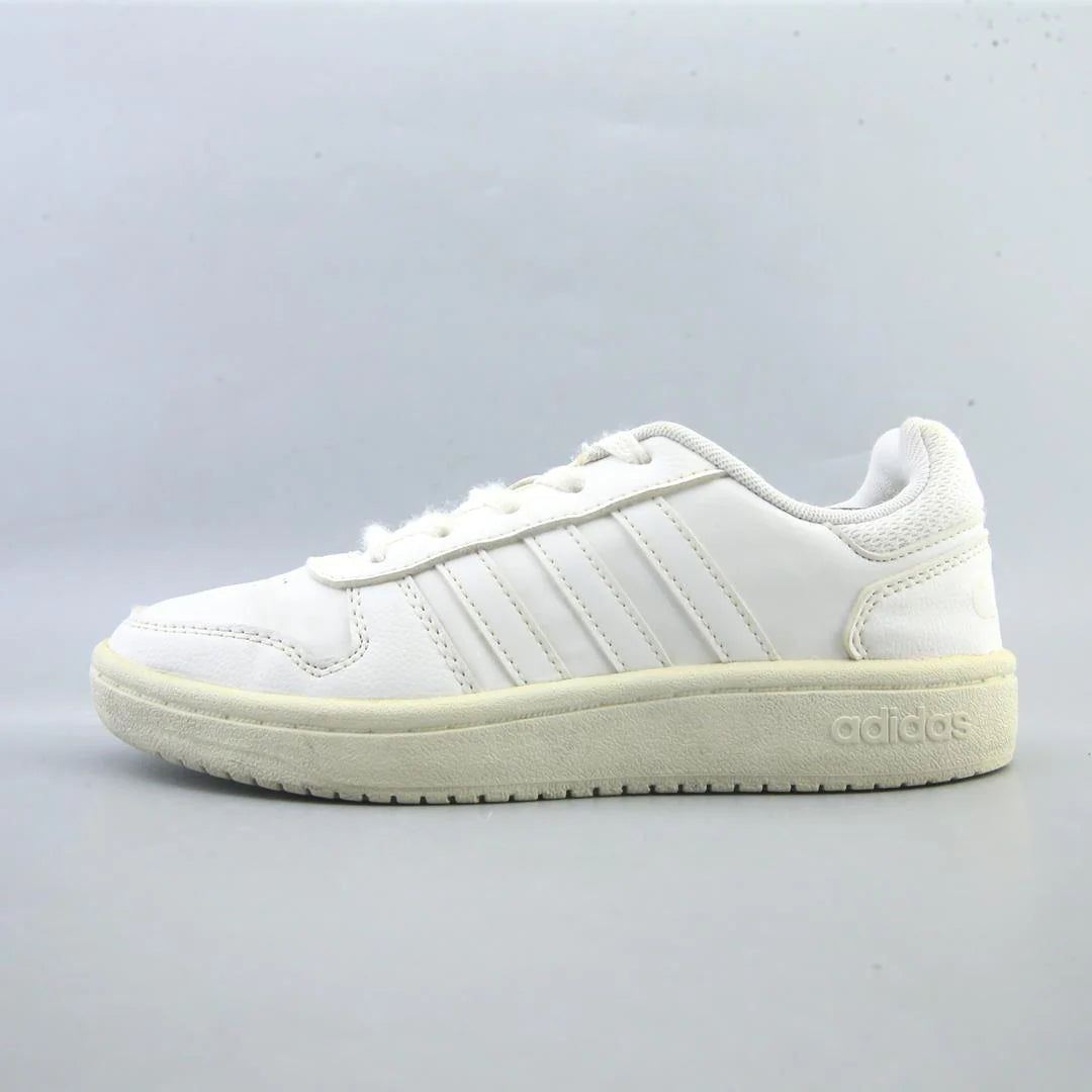 HOOPS 2.0