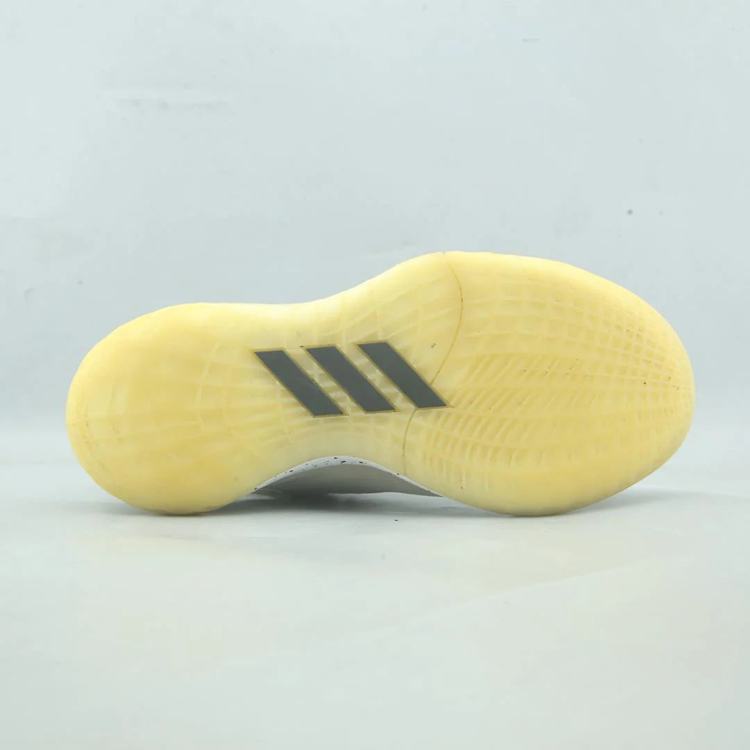 HARDEN STEPBACK 2