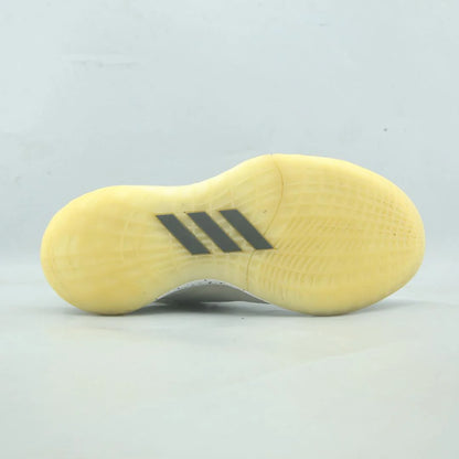 HARDEN STEPBACK 2