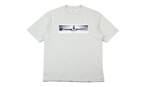 Wingspan Photo T-Shirt "Grey" IF5617 050