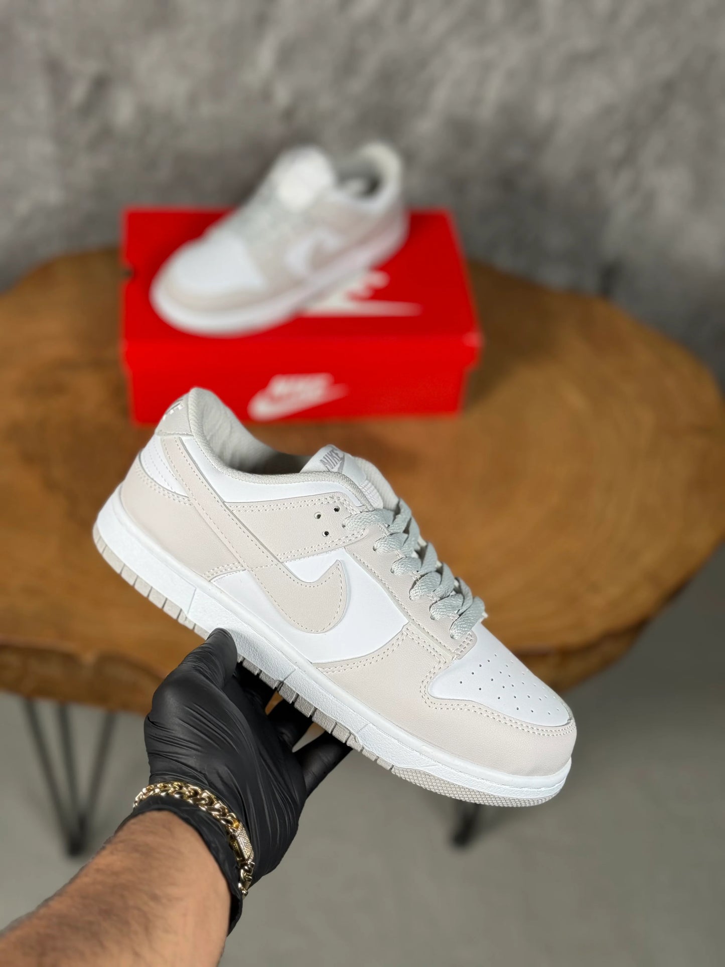 NK DUNK LOW MODEL