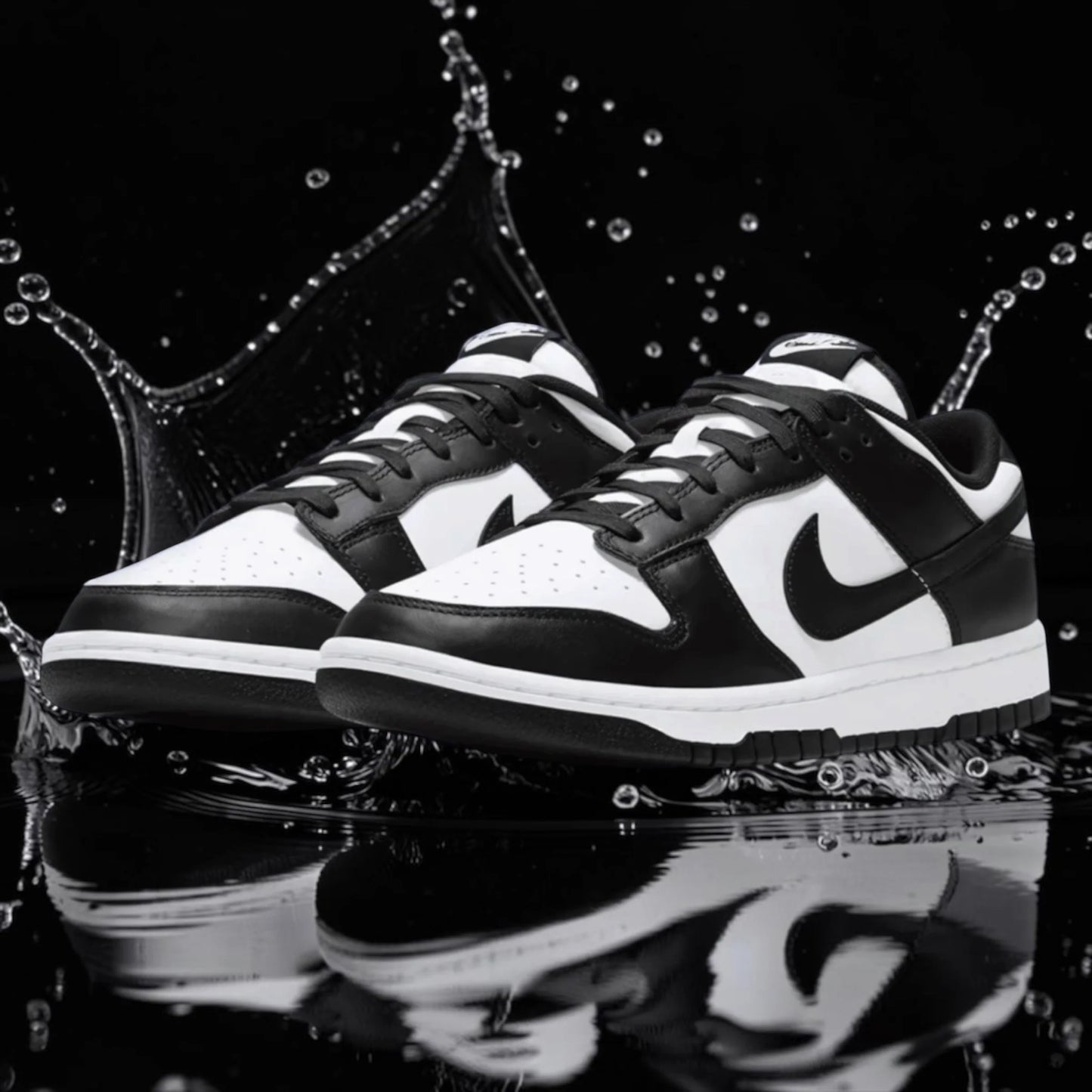 NK DUNK LOW