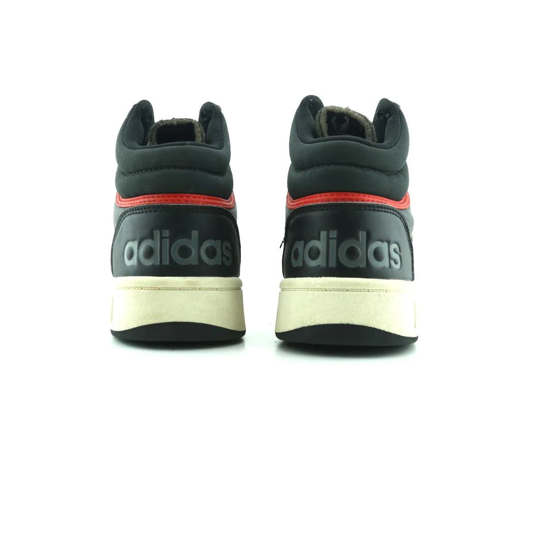 HOOPS 3.0 MID