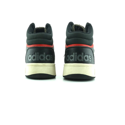 HOOPS 3.0 MID