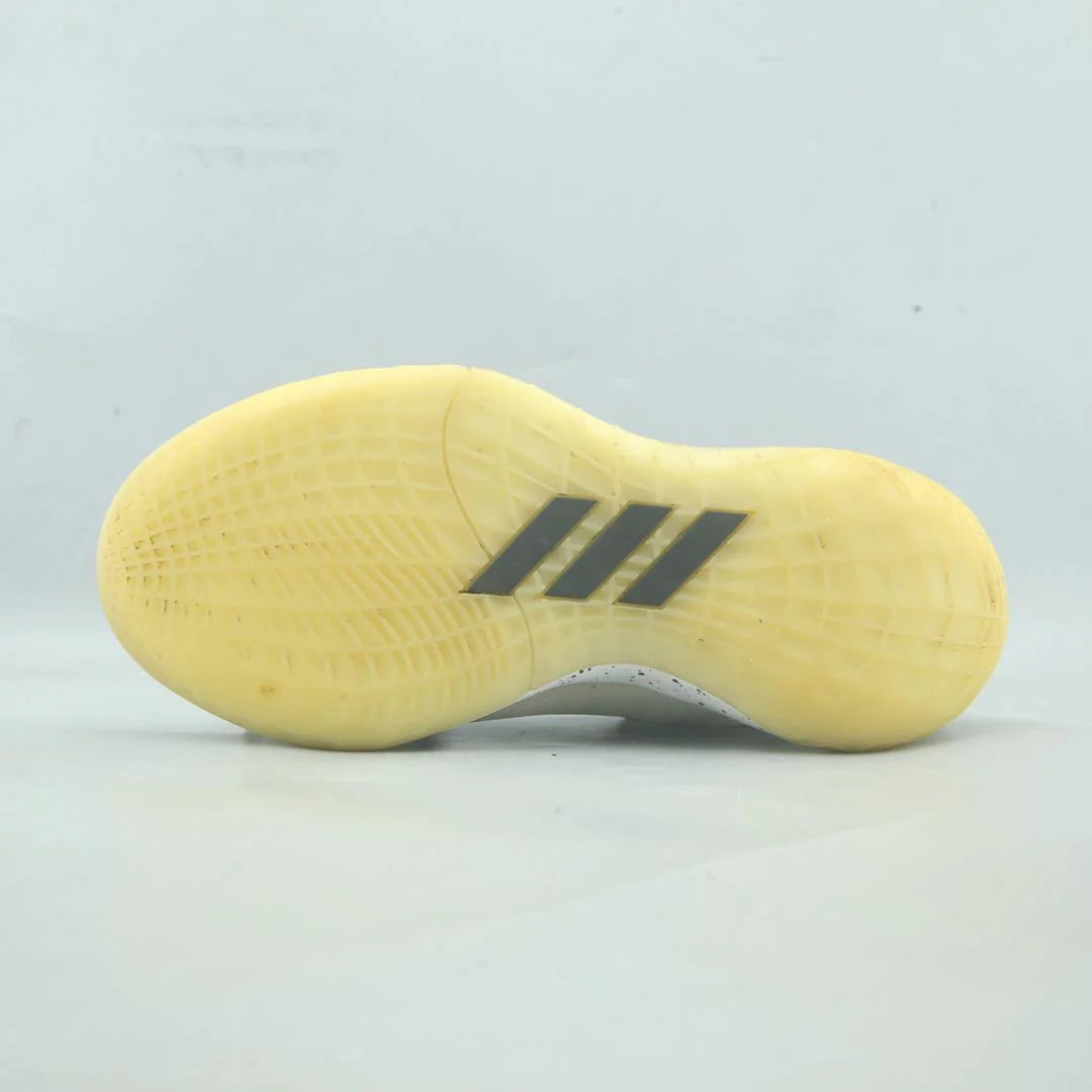 HARDEN STEPBACK 2